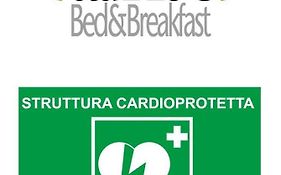 B&B Ad Hoc